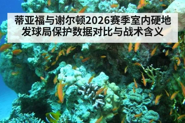 蒂亚福与谢尔顿2026赛季室内硬地发球局保护数据对比与战术含义